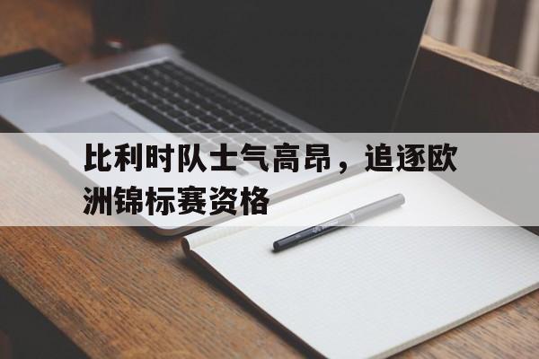万博-比利时队欧洲杯战绩
