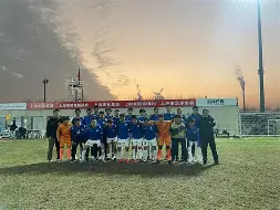 水晶宫-瑞典队在国际足球赛事中展现实力吗